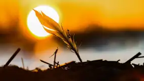 Wschód słońca nad jeziorem Śniardwy, Krzywy Róg - zdjęcie 25