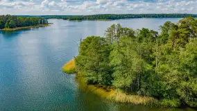 Wiosenny mix ujęć, kwiecień - czerwiec 2022 r. - zdjęcie 48