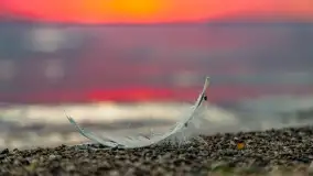 Wiosenny mix ujęć, kwiecień - czerwiec 2022 r. - zdjęcie 88