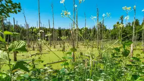 Wiosenny mix ujęć, kwiecień - czerwiec 2022 r. - zdjęcie 100