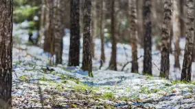 Trochę wiosny, trochę zimy... - zdjęcie 25