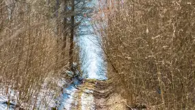 Trochę wiosny, trochę zimy... - zdjęcie 26