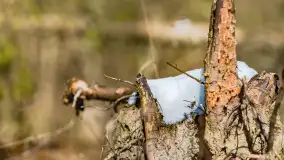 Trochę wiosny, trochę zimy... - zdjęcie 12