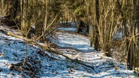 Trochę wiosny, trochę zimy... - zdjęcie 19