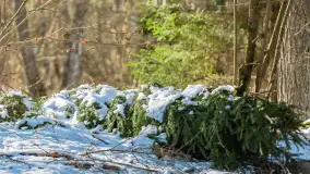 Trochę wiosny, trochę zimy... - zdjęcie 6