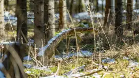 Trochę wiosny, trochę zimy... - zdjęcie 24