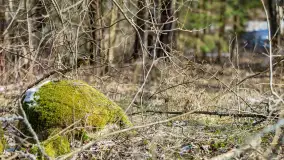 Trochę wiosny, trochę zimy... - zdjęcie 30