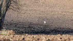 Trochę wiosny, trochę zimy... - zdjęcie 13