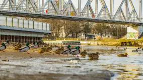 Zimowy poranek w Piszu nad Pisą, styczeń 2023 - zdjęcie 17