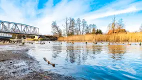 Zimowy poranek w Piszu nad Pisą, styczeń 2023 - zdjęcie 1