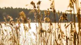 Wiosenne popołudnie w środku zimy w Mazurskim Raju, styczeń 2023 - zdjęcie 16