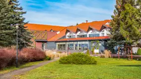 Wiosenne popołudnie w środku zimy w Mazurskim Raju, styczeń 2023 - zdjęcie 9