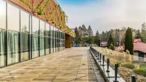 Wiosenne popołudnie w środku zimy w Mazurskim Raju, styczeń 2023 - zdjęcie 14