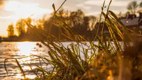 Zachód słońca w Rynie, jezioro Ryńskie, styczeń 2023 - zdjęcie 8