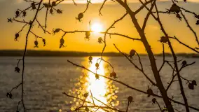 Zachód słońca w Rynie, jezioro Ryńskie, styczeń 2023 - zdjęcie 16