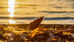 Zachód słońca w Rynie, jezioro Ryńskie, styczeń 2023 - zdjęcie 41