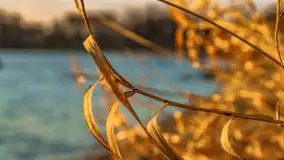 Zachód słońca w Rynie, jezioro Ryńskie, styczeń 2023 - zdjęcie 43