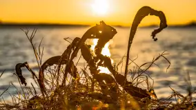 Zachód słońca w Rynie, jezioro Ryńskie, styczeń 2023 - zdjęcie 48