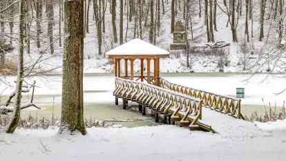 Niezdecydowana zima w lesie miejskim w Giżycku