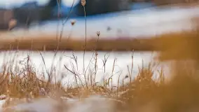 Rzeka Dajna i okolice, luty 2023 - zdjęcie 70