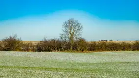 Rzeka Dajna i okolice, luty 2023 - zdjęcie 30