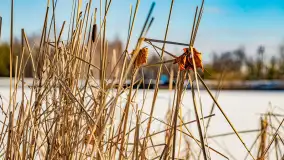 Rzeka Dajna i okolice, luty 2023 - zdjęcie 19