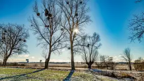 Rzeka Dajna i okolice, luty 2023 - zdjęcie 32