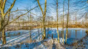 Rzeka Dajna i okolice, luty 2023 - zdjęcie 42