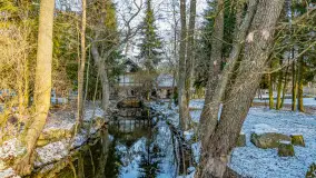 Rzeka Dajna i okolice, luty 2023 - zdjęcie 38