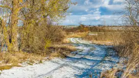 Rzeka Dajna i okolice, luty 2023 - zdjęcie 48