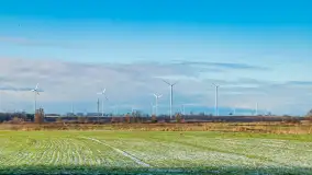 Rzeka Dajna i okolice, luty 2023 - zdjęcie 77