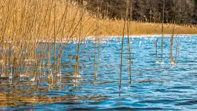 Zatoka Mrówcza, jezioro Ryńskie, luty 2023 - zdjęcie 4