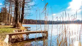 Zatoka Mrówcza, jezioro Ryńskie, luty 2023 - zdjęcie 33