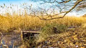 Zatoka Mrówcza, jezioro Ryńskie, luty 2023 - zdjęcie 20