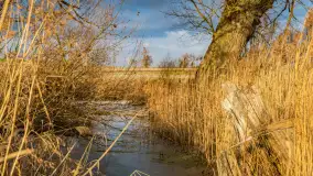 Zachód słońca w okolicy rzeki Guber, luty 2023 - zdjęcie 3