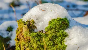 Spacer po lesie kętrzyńskim, górka poznańska i rzeka Guber - zdjęcie 20