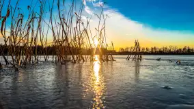 Kolejny zachód nad jeziorem Ryńskim, luty 2023 - zdjęcie 1