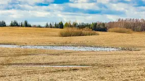 Wiosenne zbiorowiska ptaków, luty 2023 r. - zdjęcie 25