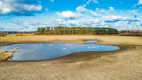 Wiosenne zbiorowiska ptaków, luty 2023 r. - zdjęcie 1