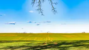 Wczesne przedwiośnie na Mazurach, luty 2023 r. - zdjęcie 17