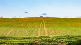 Wczesne przedwiośnie na Mazurach, luty 2023 r. - zdjęcie 14