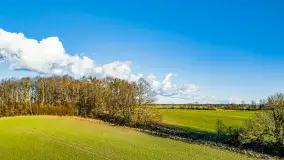 Wczesne przedwiośnie na Mazurach, luty 2023 r. - zdjęcie 65