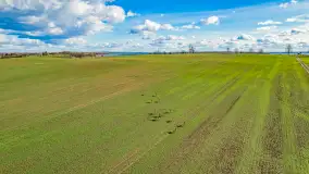 Wczesne przedwiośnie na Mazurach, luty 2023 r. - zdjęcie 70