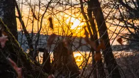 Zachód słońca nad jeziorem Siercze, luty 2023 - zdjęcie 29