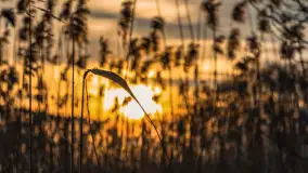 Zachód słońca nad jeziorem Siercze, luty 2023 - zdjęcie 33