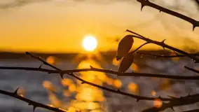 Zachód słońca nad jeziorem Kirsajty, luty 2023 r. - zdjęcie 23