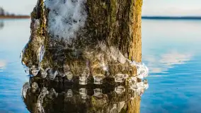 Słonecznie i zimowo przy moście Sztynorckim - zdjęcie 39