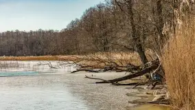 Słonecznie i zimowo przy moście Sztynorckim - zdjęcie 9
