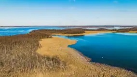 Słonecznie i zimowo przy moście Sztynorckim - zdjęcie 17
