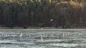 Jak wyglądają Mikołajki pod koniec zimy? Ano tak. - zdjęcie 41